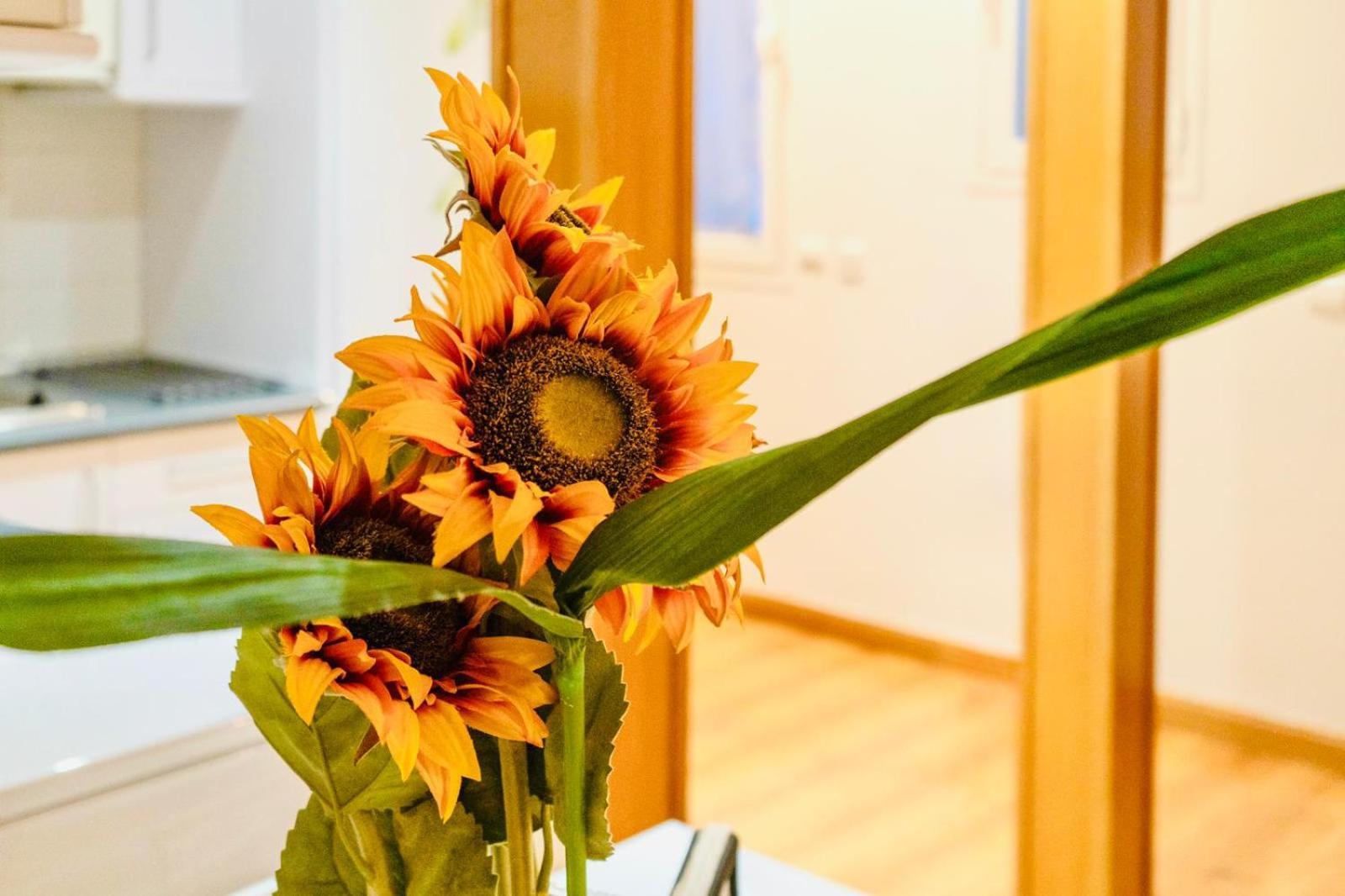 Gran Via Alaia Seasonal Living — Photos 2